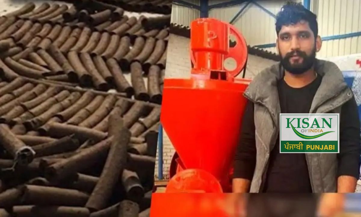 Cow Dung ਤੋਂ ਬਣੀ Wood: Patiala ਦੇ Engineer ਨੇ ਕਿਸਾਨਾਂ ਲਈ ਖੋਲ੍ਹੇ ਕਮਾਈ ਦੇ ਨਵੇਂ ਰਾਹ