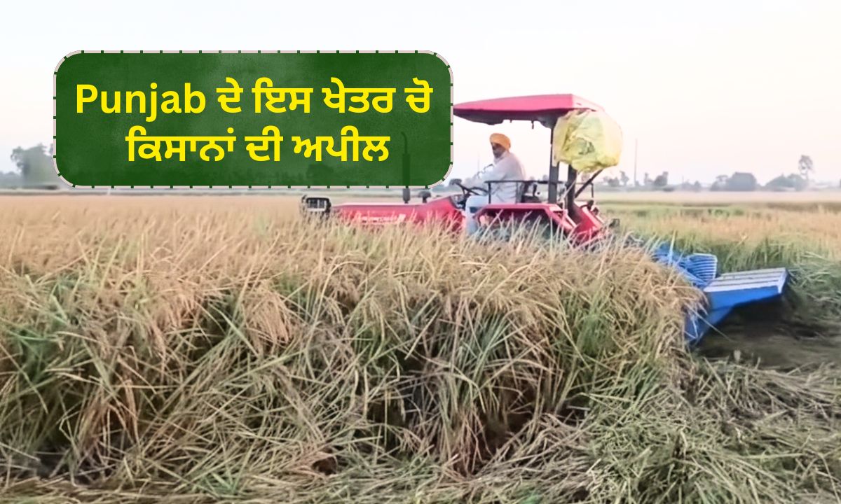ਟਰੈਕਟਰ ਦੀ ਵਰਤੋਂ ਕਰਕੇ ਕਟਾਈ ਕੀਤੀ ਜਾਣ ਵਾਲੀ ‘ਪੁੱਤਰ ਵਰਗੀ’ ਫਸਲ, Punjab ਦੇ ਇਸ ਖੇਤਰ ਚੋ ਕਿਸਾਨਾਂ ਦੀ ਅਪੀਲ