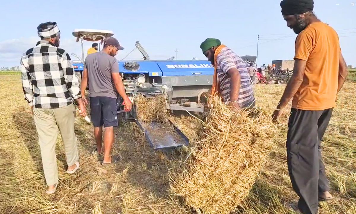 Punjab ਦੇ ਹੜ੍ਹ ਪ੍ਰਭਾਵਿਤ 5 ਪਿੰਡਾਂ ‘ਚ ਫ਼ਸਲ ਪ੍ਰਬੰਧਨ ਲਈ ‘ਯੰਗ ਇਨੋਵੇਟਿਵ ਫਾਰਮਰਜ਼’ ਦਾ ਉਪਰਾਲਾ