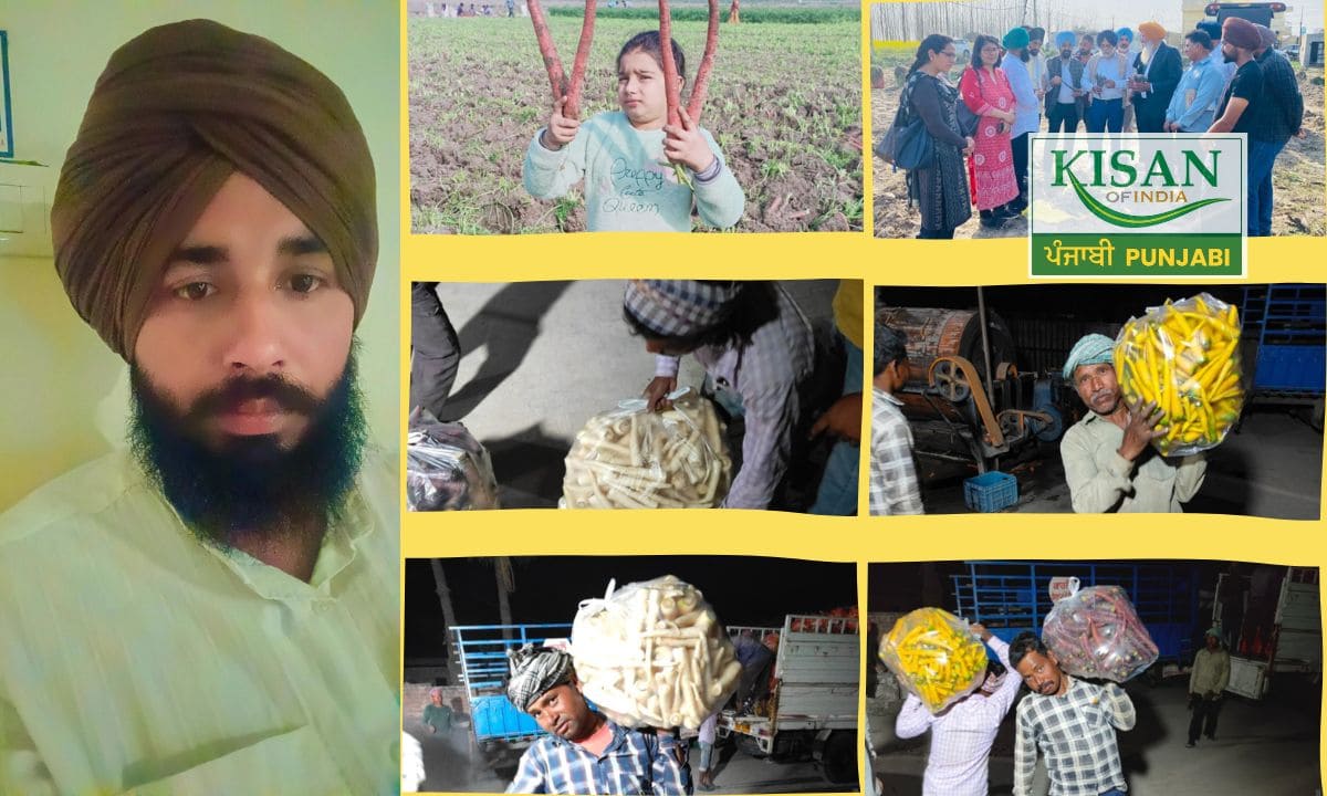 ਇੰਜੀਨੀਅਰਿੰਗ ਤੋਂ ਖੇਤੀ ਤੱਕ: ਮੋਹਨਦੀਪ ਸਿੰਘ ਨੇ ਗਾਜਰ ਦੀ ਖੇਤੀ ‘ਚ ਲੱਭੀ ਸਫ਼ਲਤਾ ਦੀ ਰਾਹ!